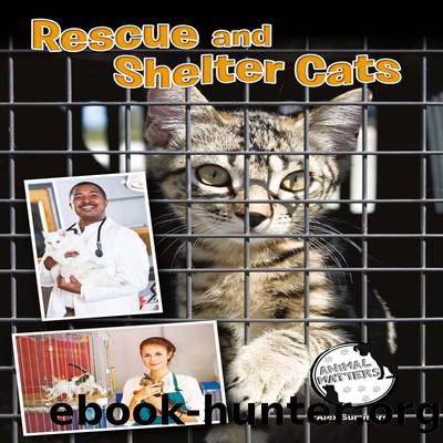 Rescue and Shelter Cats by Alex Summers