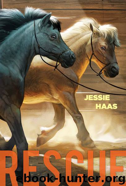 Rescue by Jessie Haas