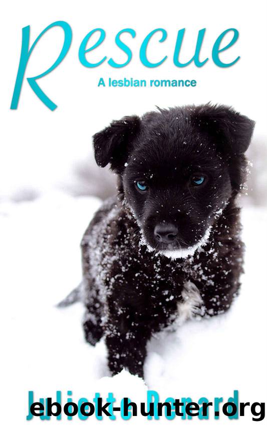 Rescue by Juliette Renard