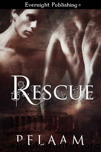 Rescue by Pelaam