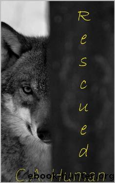 Rescued (A Charlie Hunter Novel Book 1) by C.A. Human