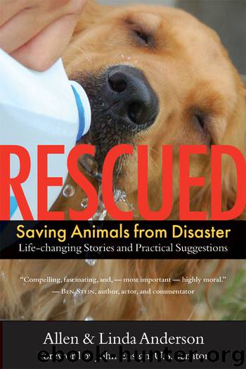 Rescued by Allen Anderson