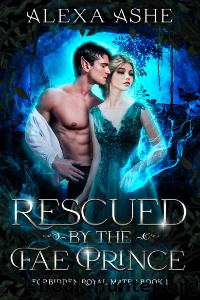 Rescued by the Fae Prince: A Forbidden Fantasy Romance by Alexa Ashe