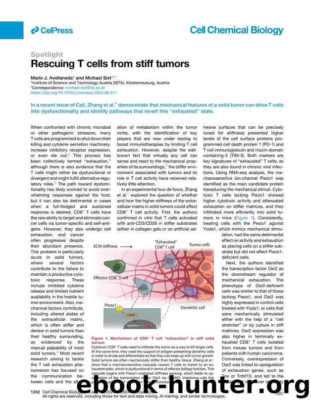 Rescuing T&nbsp;cells from stiff tumors by Mario J. Avellaneda & Michael Sixt