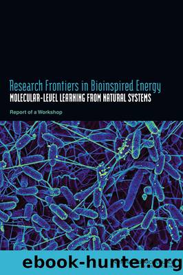 Research Frontiers in Bioinspired Energy by National Research Council