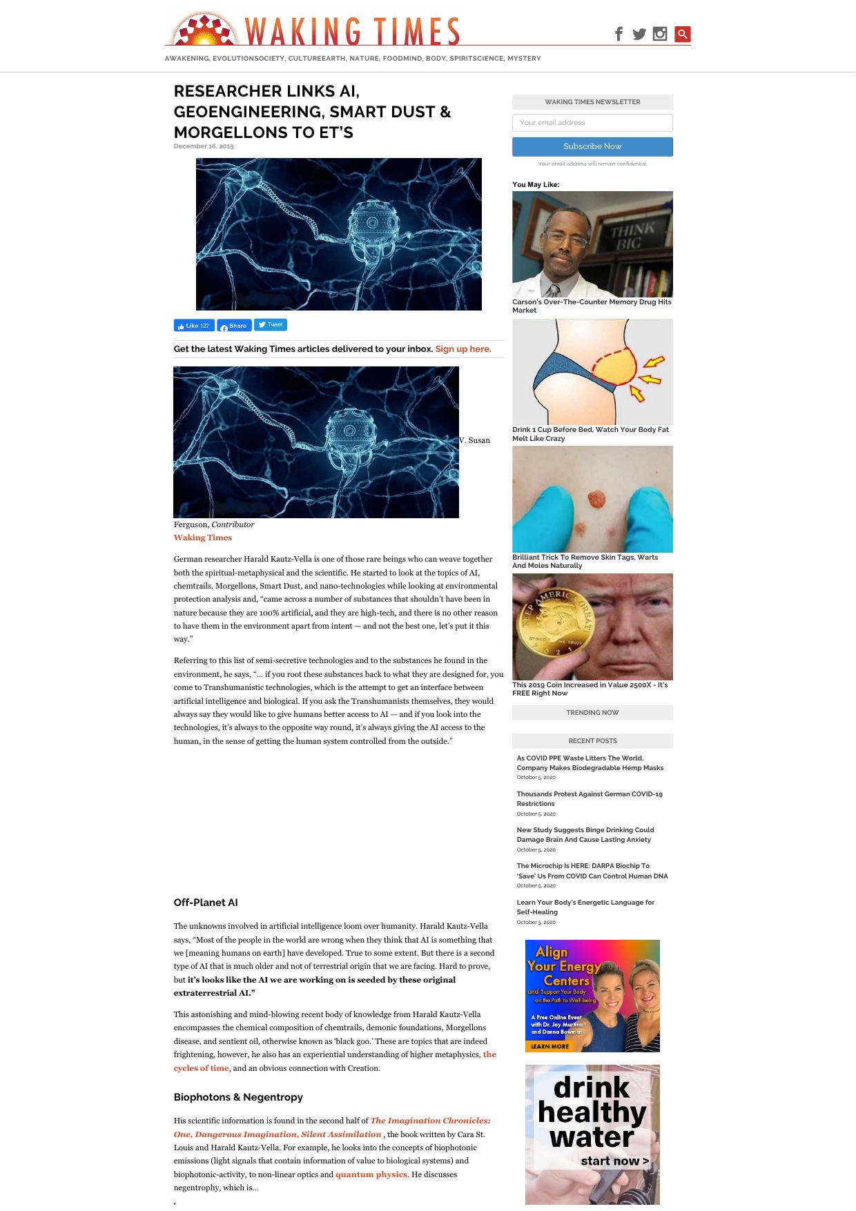 Researcher Links AI, Geoengineering, Smart Dust & Morgellons to ET's by V. Susan Ferguson