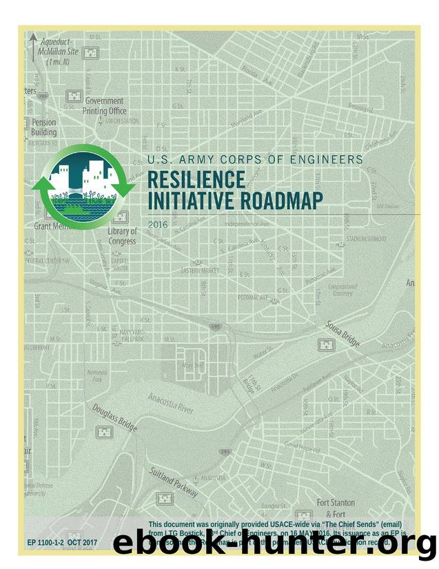 Resilience Initiative Raodmap by Unknown