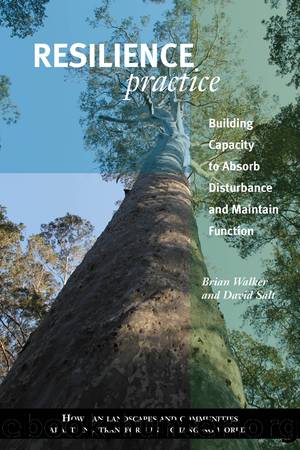 Resilience Practice: Building Capacity to Absorb Disturbance and Maintain Function by Brian Walker & David Salt