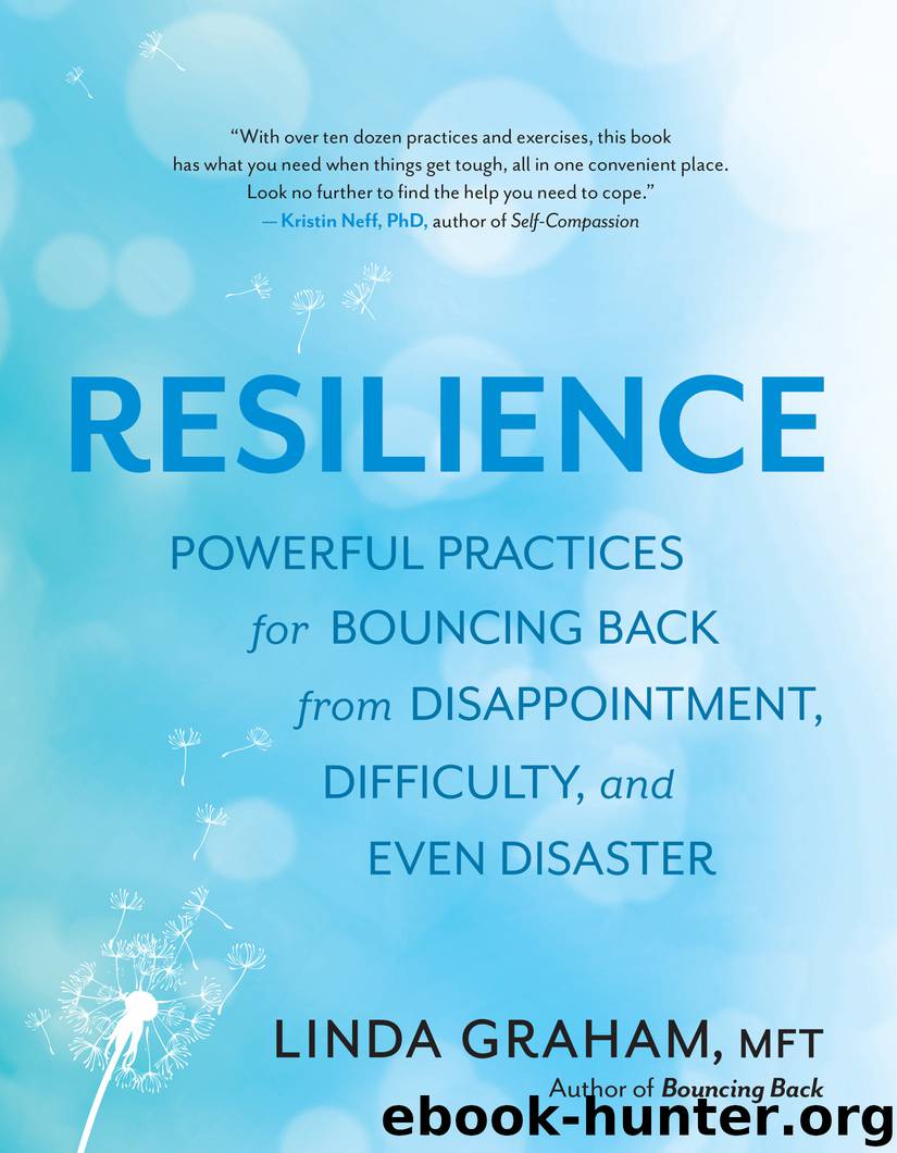 Resilience by Linda Graham
