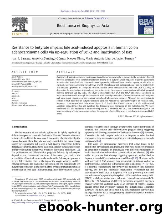 Resistance to butyrate impairs bile acid-induced apoptosis in human colon adenocarcinoma cells via up-regulation of Bcl-2 and inactivation of Bax by Juan I. Barrasa & Angélica Santiago-Gómez & Nieves Olmo & María Antonia Lizarbe & Javier Turnay