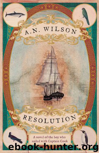 Resolution by A. N. Wilson