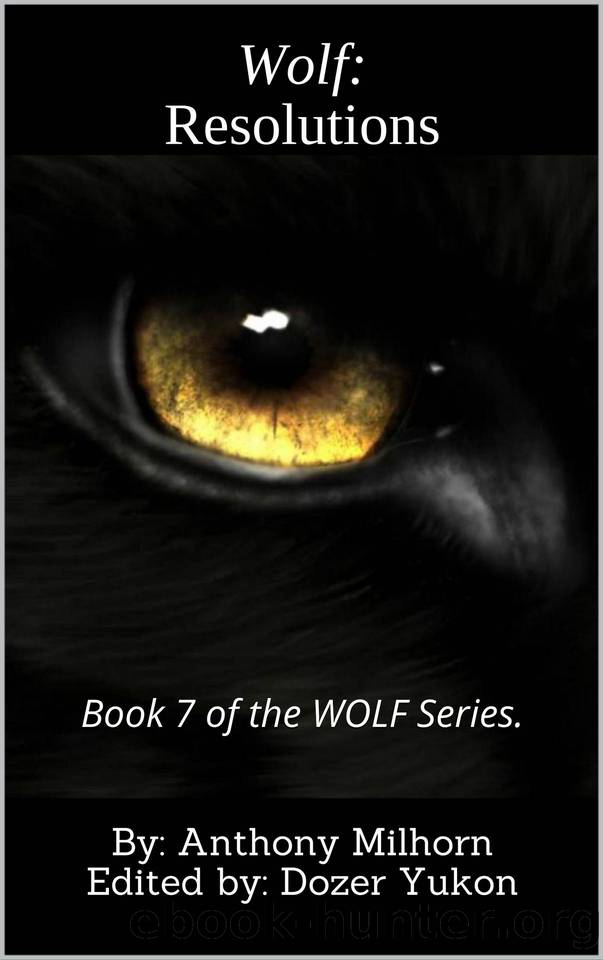 Resolutions by Anthony Milhorn