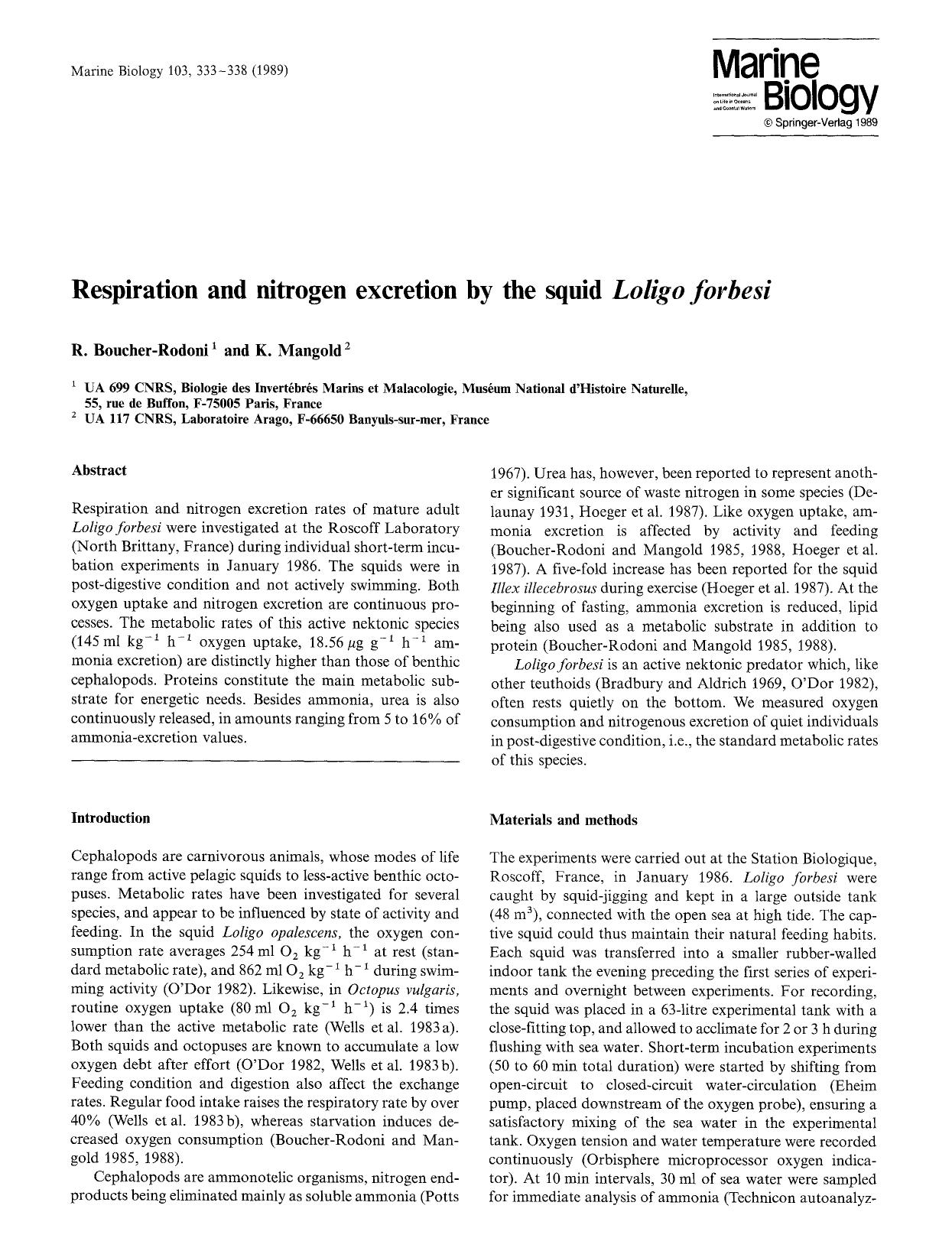 Respiration and nitrogen excretion by the squid <Emphasis Type="Italic">Loligo forbesi<Emphasis> by Unknown
