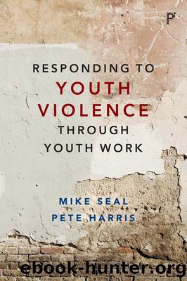 Responding to Youth Violence through Youth Work by Seal Mike Harris Pete