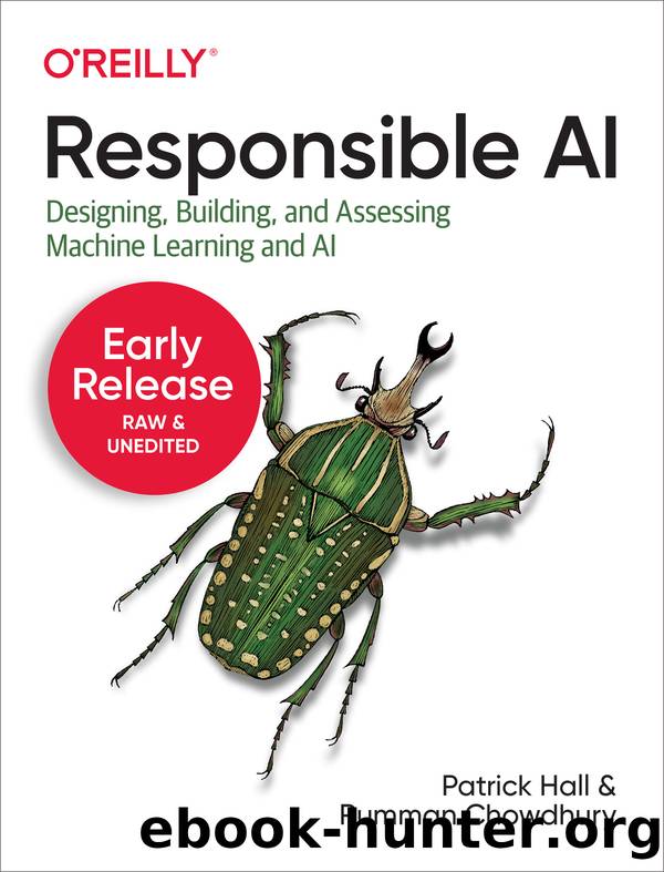 Responsible AI by Patrick Hall & Rumman Chowdhury