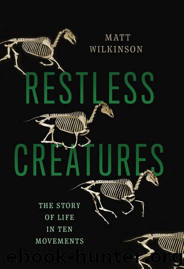 Restless Creatures by Matt Wilkinson