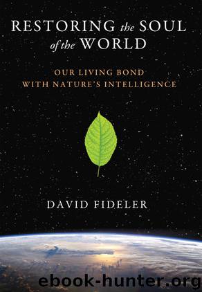Restoring the Soul of the World by David Fideler