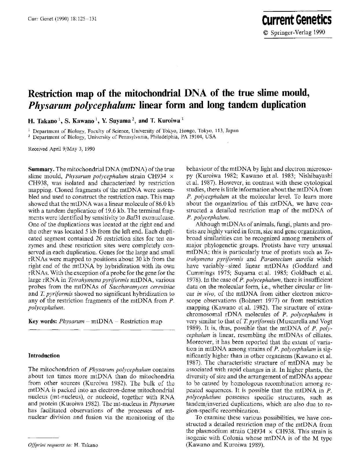 Restriction map of the mitochondrial DNA of the true slime mould, <Emphasis Type="Italic">Physarum polycephalum<Emphasis>: linear form and long tandem duplication by Unknown