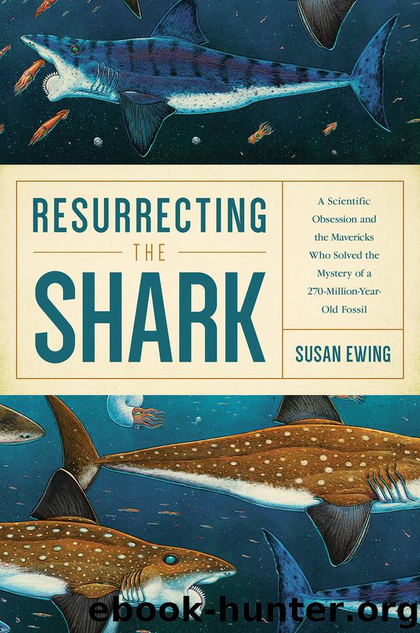 Resurrecting the Shark by Susan Ewing