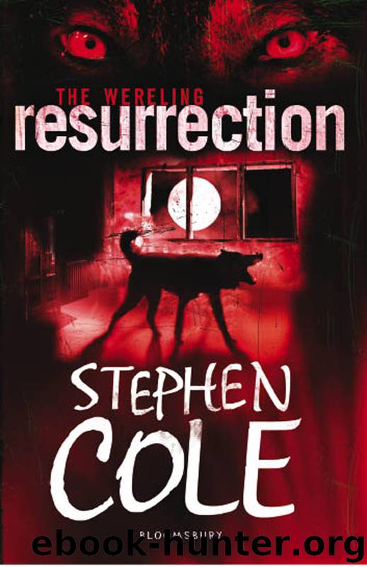 Resurrection by Stephen Cole
