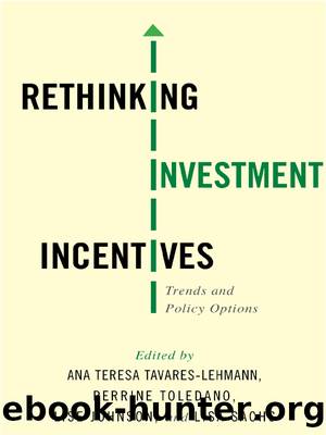 Rethinking Investment Incentives by Ana Teresa Tavares-Lehmann