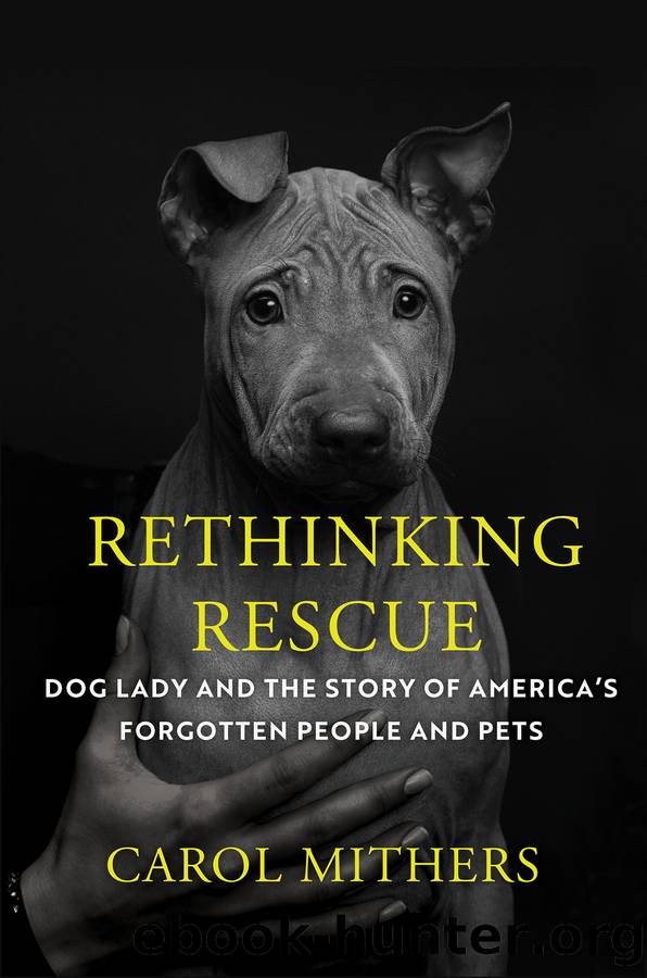Rethinking Rescue by Carol Mithers