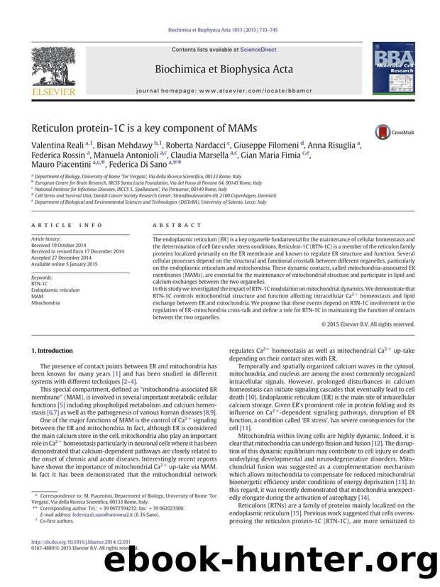 Reticulon protein-1C is a key component of MAMs by unknow