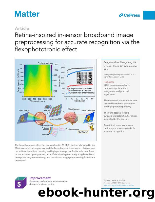 Retina-inspired in-sensor broadband image preprocessing for accurate recognition via the flexophototronic effect by Pengwen Guo & Mengmeng Jia & Di Guo & Zhong Lin Wang & Junyi Zhai