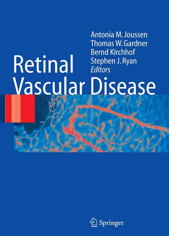 Retinal Vascular Disease by A.M. Joussen T.W. Gardner B. Kirchhof S.J. Ryan