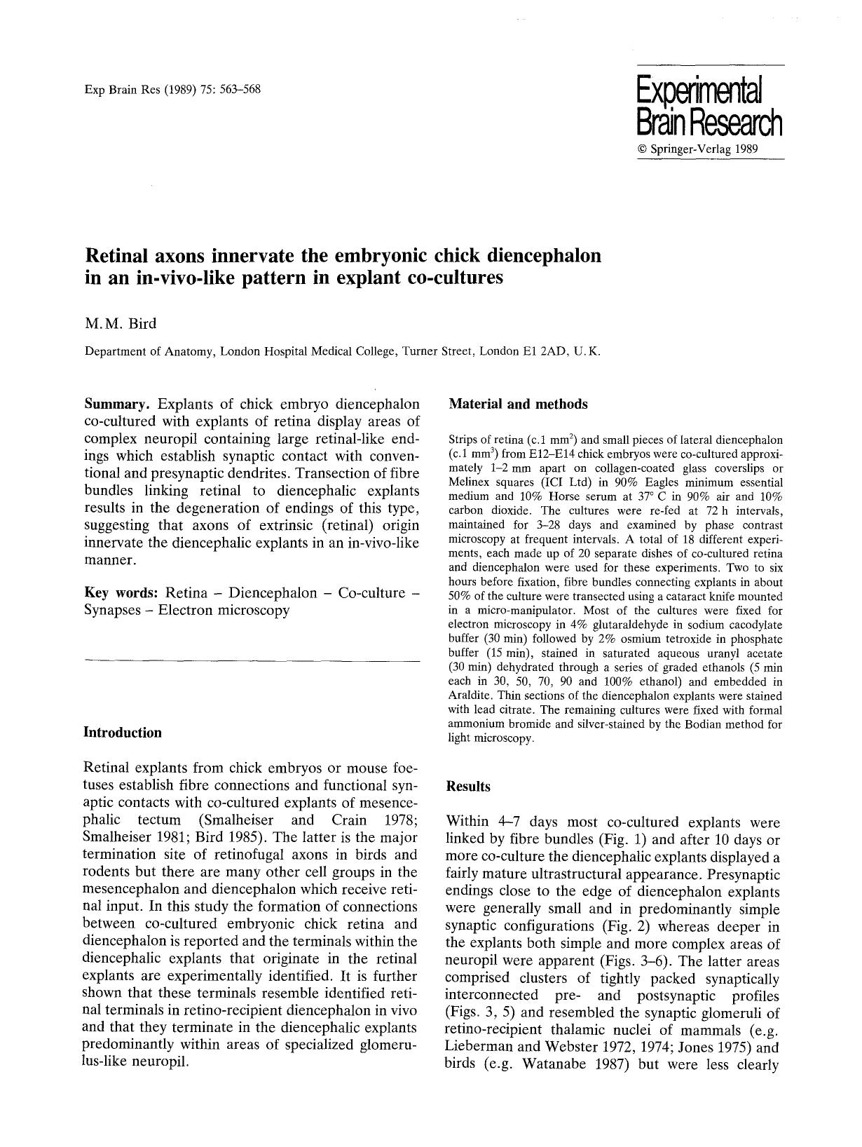 Retinal axons innervate the embryonic chick diencephalon in an in-vivo-like pattern in expiant co-cultures by Unknown