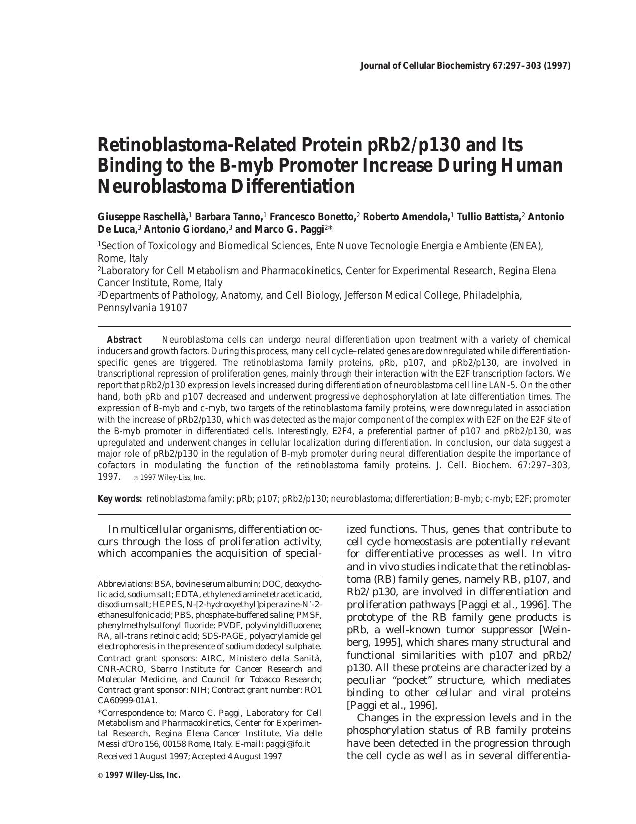 Retinoblastoma-related protein pRb2p130 and its binding to the B-myb promoter increase during human neuroblastoma differentiation by Unknown