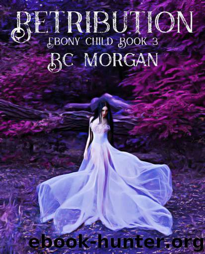 Retribution by B C Morgan