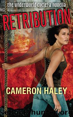 Retribution by Cameron Haley