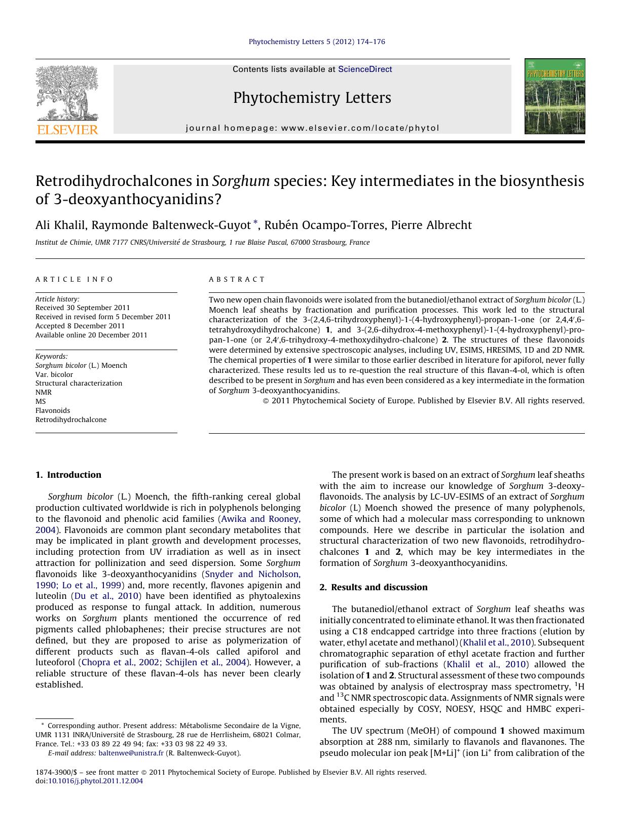 Retrodihydrochalcones in Sorghum species: Key intermediates in the biosynthesis of 3-deoxyanthocyanidins? by Ali Khalil