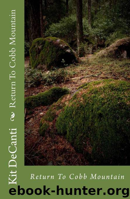 Return To Cobb Mountain (Cobb Mt Mystery Series Book 2) by DeCanti Kit