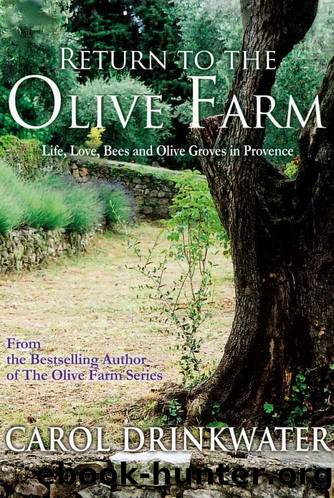 Return To The Olive Farm by Carol Drinkwater