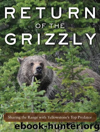 Return of the Grizzly by Cat Urbigkit