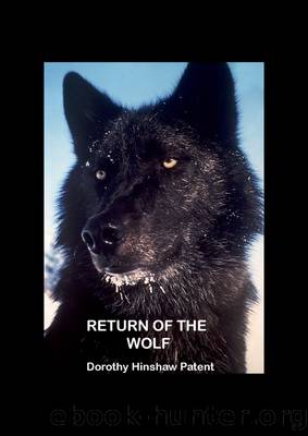 Return of the Wolf by Dorothy Patent