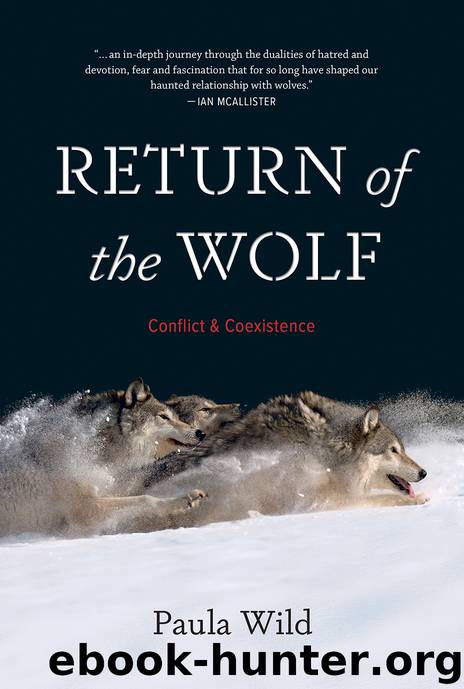 Return of the Wolf by Paula Wild