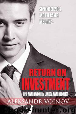 Return on Investment by Voinov Aleksandr