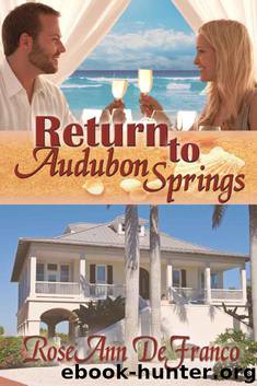 Return to Audubon Springs (Brothers of Audubon Springs) by DeFranco RoseAnn