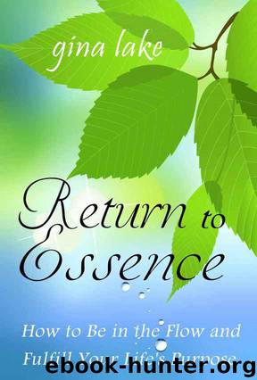 Return to Essence: How to Be in the Flow and Fulfill Your Life's Purpose by Gina Lake