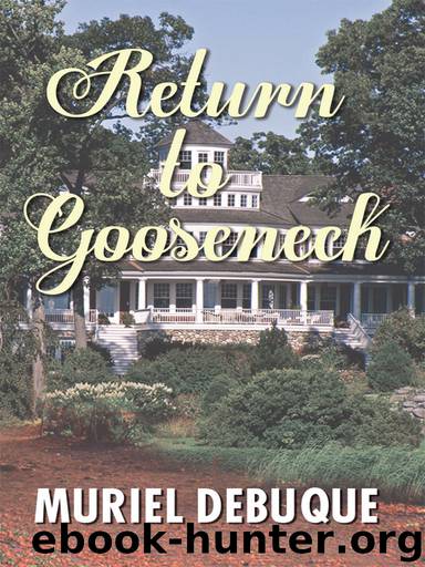 Return to Gooseneck by Muriel Debuque