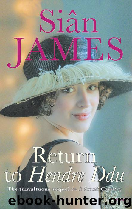 Return to Hendre Ddu by Siân James