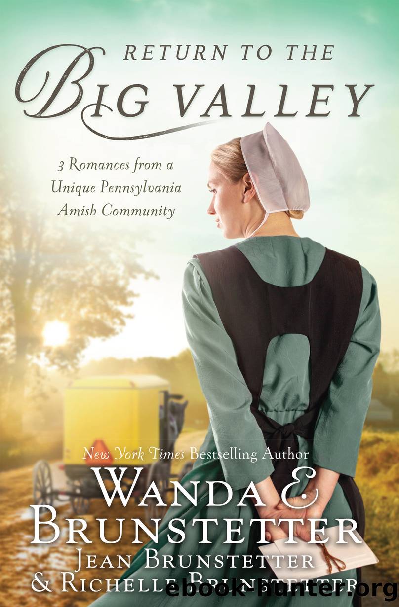 Return to the Big Valley by Wanda E. Brunstetter