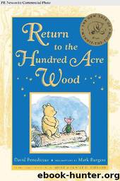 Return to the Hundred Acre Wood by David Benedictus; Mark Burgess