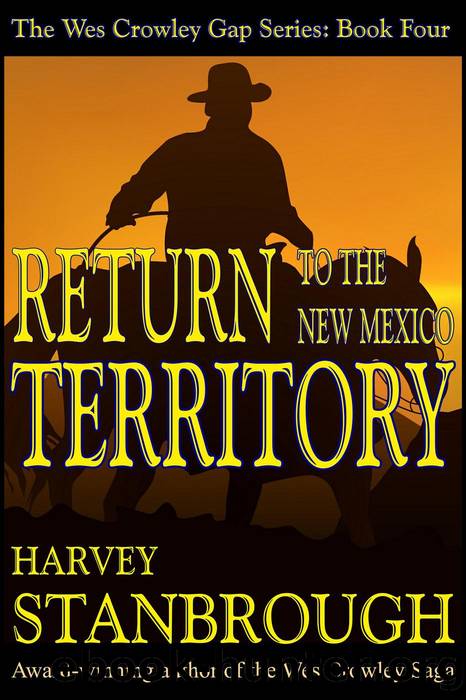 Return to the New Mexico Territory by Harvey Stanbrough