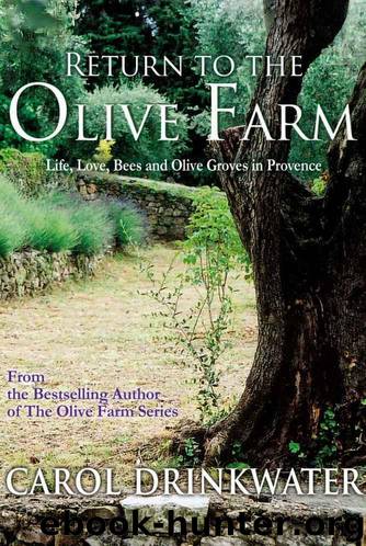 Return to the Olive Farm (The Olive Series Book 4) by Drinkwater Carol