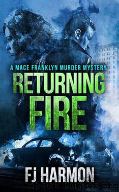 Returning Fire by Frans Harmon