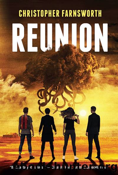 Reunion by Christopher Farnsworth
